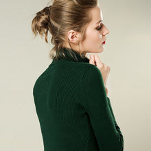 Load image into Gallery viewer, Turtleneck Women Cashmere Sweater Women Winter Sweaters Ladies Warm Winter Woman Sweater Knitting Pullovers Female Sweater 2019